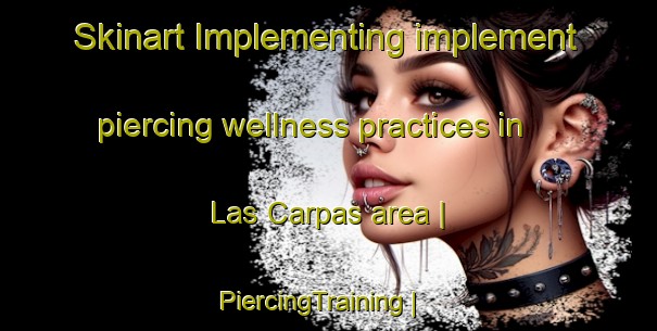 Skinart Implementing implement piercing wellness practices in Las Carpas area | PiercingTraining | PiercingClasses | SkinartTraining-Mexico